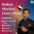 Dubai Market Entry Plan